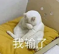 link mpo terpercaya Keke, dari mana kamu belajar kekacauan ini! Hao Ren terbatuk karena ocehan kucing bodoh itu.